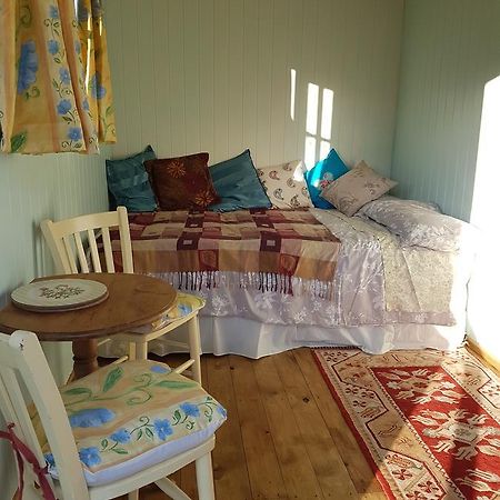 Shepherds Hut Dolly Wagon Keswick  Exterior photo