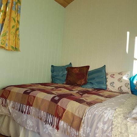 Shepherds Hut Dolly Wagon Keswick  Exterior photo
